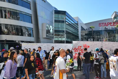 DSC_7111 (Large).JPG